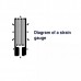 Strain Gauges